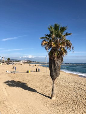 Barselona 'daki Llevant Sahili İspanya