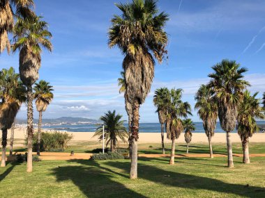 Barcelona, İspanya 'daki Forum Plajı