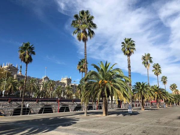 Spanya Nın Barselona Limanı Çevresindeki Bulvar — Stok fotoğraf