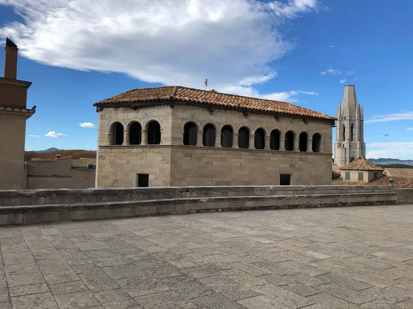 Basiliek Van Sant Feliu Vanaf Kathedraal Van Girona Girona Spanje — Stockfoto