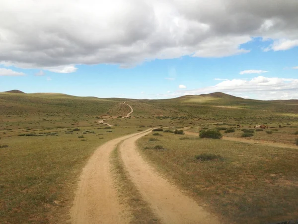 Camino Través Del Campo Mongolia —  Fotos de Stock