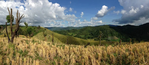 Panorama Horské Krajiny Kopcích Severního Thajska — Stock fotografie