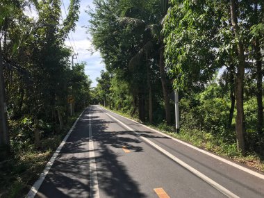Bang Kobua Bangkok Tayland 'da boş asfalt yol