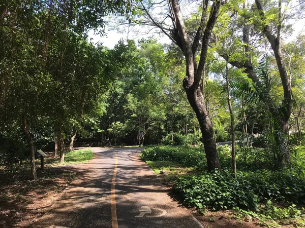 Ścieżka Rowerowa Przez Sri Nakhon Khuean Khan Park Ogród Botaniczny — Zdjęcie stockowe