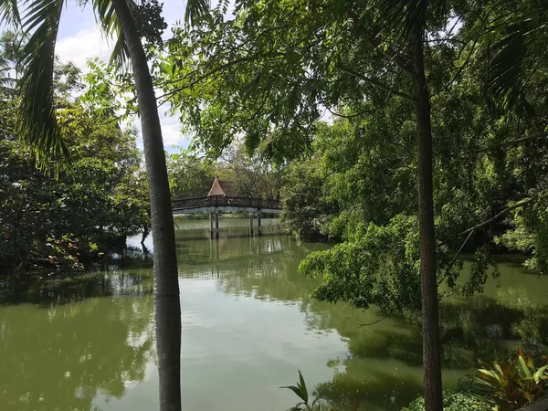 Sri Nakhon Khuean Khan Park Ogród Botaniczny Bangkoku Tajlandia — Zdjęcie stockowe