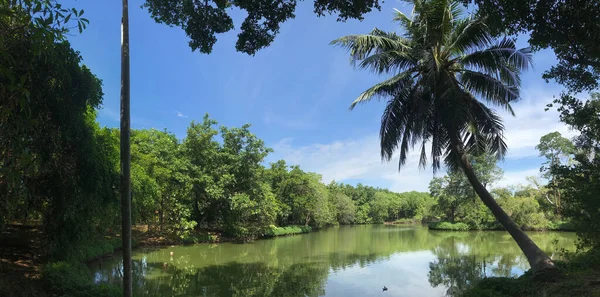 Sri Nakhon Khuean Khan Park Bangkok Tayland Botanik Bahçesinden Panorama — Stok fotoğraf