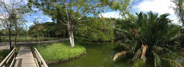 Panorama Sri Nakhon Khuean Khan Park Ogród Botaniczny Bangkoku Tajlandia — Zdjęcie stockowe