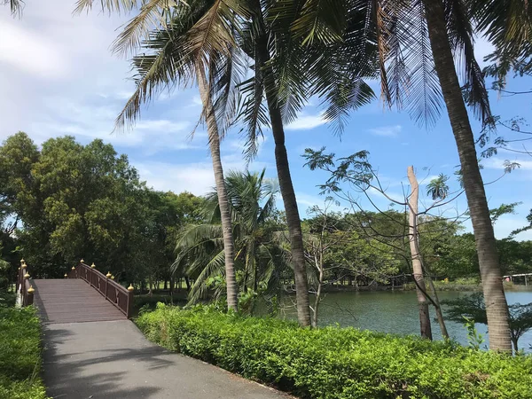 Most Sri Nakhon Khuean Khan Park Ogród Botaniczny Bangkoku Tajlandia — Zdjęcie stockowe