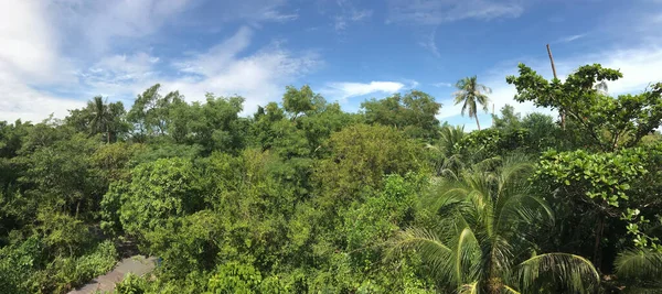 Panorama Sri Nakhon Khuean Khan Park Ogród Botaniczny Widok Wieży — Zdjęcie stockowe