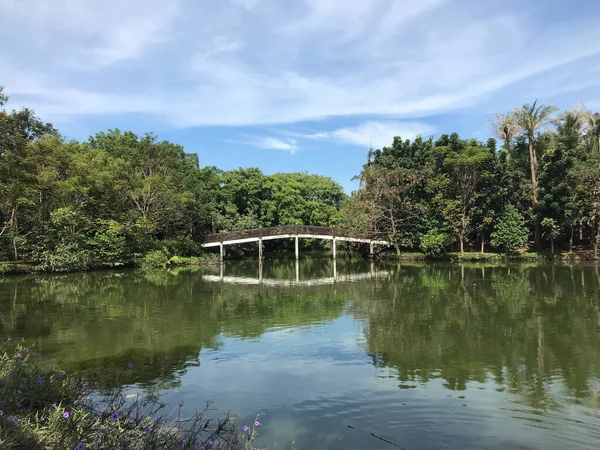 泰国曼谷Sri Nakhon Khuean Khan公园和植物园的桥梁 — 图库照片