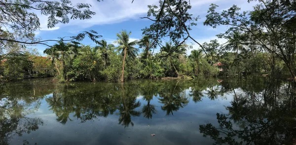 Sri Nakhon Khuean Khan Parkı Bangkok Botanik Bahçesi Ndeki Hindistan — Stok fotoğraf