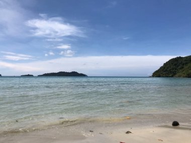 Tayland 'daki Koh Chang Adası' ndaki Long Beach 'te hindistan cevizi.