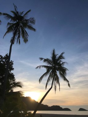 Palmtree ve Koh Chang Tayland 'da gün batımı