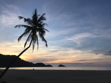 Palmtree ve Koh Chang Tayland 'da gün batımı