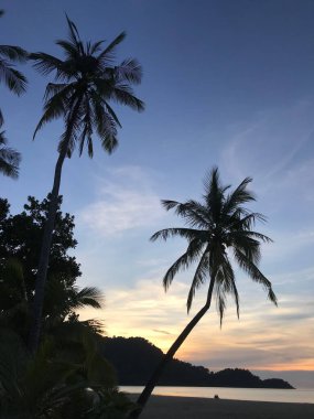 Palmtree ve Koh Chang Tayland 'da gün batımı