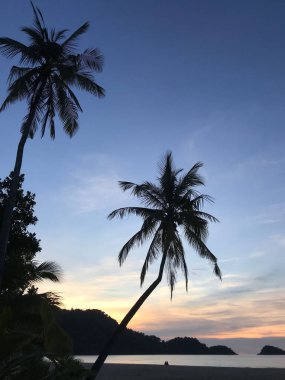 Palmtree ve Koh Chang Tayland 'da gün batımı