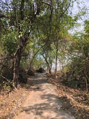 Phanom Sawai Orman Parkı 'ndan geçen yol.