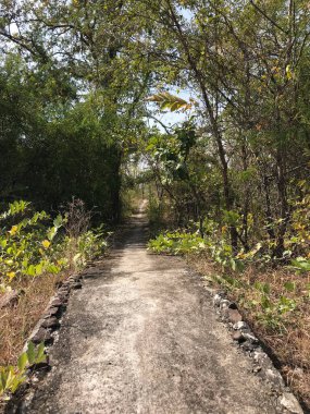 Phanom Sawai Orman Parkı 'ndan geçen yol.