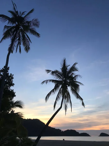 Palmtree Naplemente Koh Chang Thaiföldön — Stock Fotó