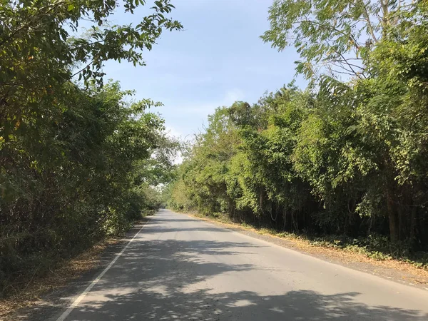 Camino Hacia Phanom Sawai Forest Park Tailandia — Foto de Stock