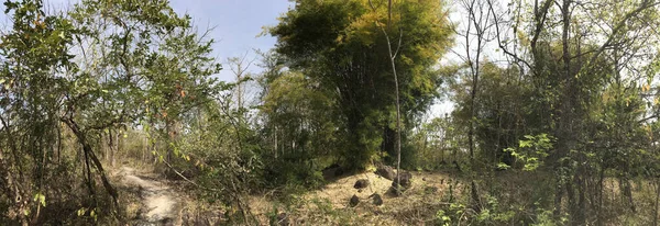 Panorama Del Parque Forestal Phanom Sawai Tailandés — Foto de Stock