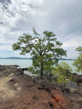 Koh Lanta Noi, Tayland kıyıları