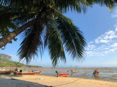 Koh Mook Tayland 'da sular çekildiğinde uzun kuyruklu tekneler