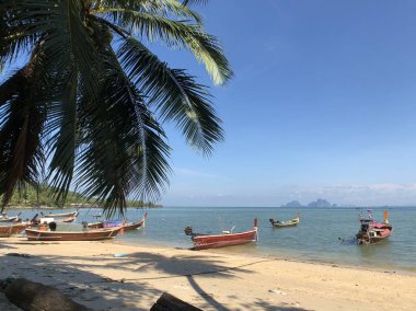 Koh Mook Tayland 'da sular çekildiğinde uzun kuyruklu tekneler