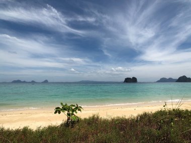 Tayland 'da Koh Ngai plajı.