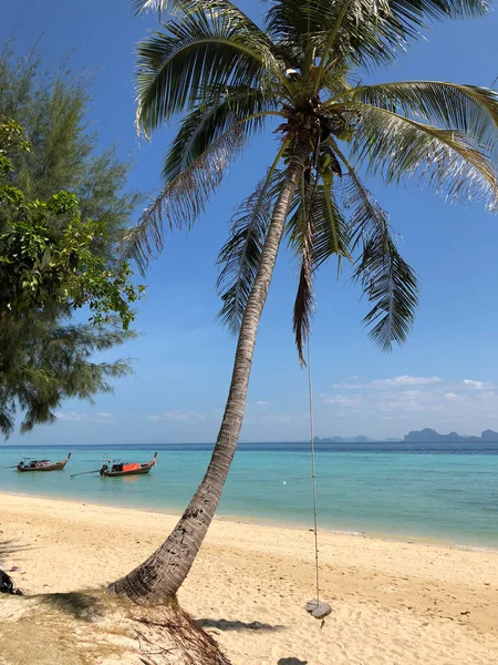 Swing Egy Pálmafa Koh Ngai Thaiföldön — Stock Fotó