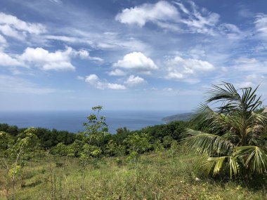 Phuket Tayland Manzarası