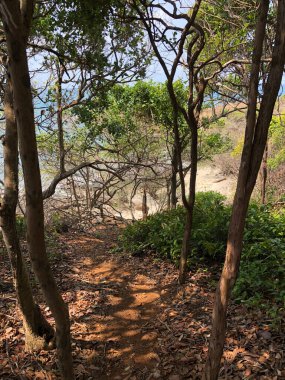 Tayland 'daki Koh Samed adasındaki plaja giden yol.