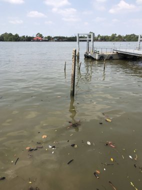 Chao Reynaya Nehri 'nde çöp. Bangkok, Tayland.