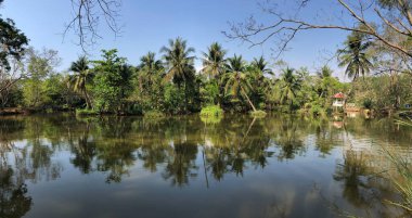 Sri Nakhon Khuean Khan Park ve Bang Kachao Bangkok Tayland Botanik Bahçesinden Panorama