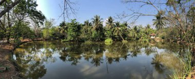 Sri Nakhon Khuean Khan Park ve Bang Kachao Bangkok Tayland Botanik Bahçesinden Panorama