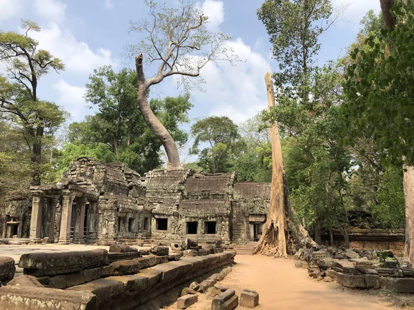 Tempio Prohm Tempio Predatore Tombe Cambogia — Foto Stock