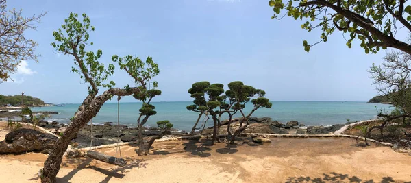 Swing Branche Arbre Sur Île Koh Samed Thaïlande — Photo