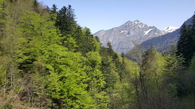 Bbal Gölü Mumyalaması 