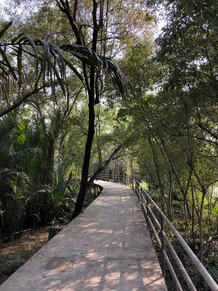 Chemin Vers Musée Phi Suea Samut Fort Samut Prakan Thaïlande — Photo