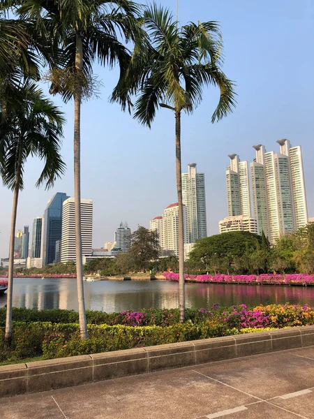 Benchakiti Park Bangkok Thailand — Stockfoto