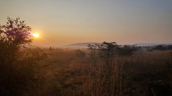 Napkelte Entabeni Természetvédelmi Terület Dél Afrika — Stock Fotó