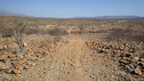 Straße Durch Die Reserva Namibe Angola — Stockfoto