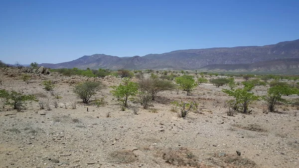 Paisagem Serrana Reserva Namibe Angola — Fotografia de Stock