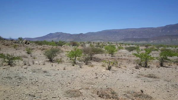 Ορεινό Τοπίο Στη Reserva Namibe Αγκόλα — Φωτογραφία Αρχείου