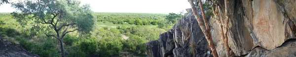 Panorama Del Parque Nacional Chobe Botswana —  Fotos de Stock