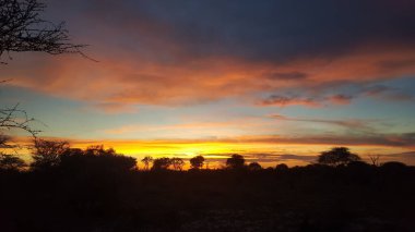 Botswana 'daki Moremi Oyun Rezervi' nde gün batımı