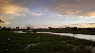 River in Moremi Game Reserve, Botswana