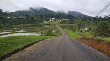 Road towards the town Mvila, Cameroon clipart