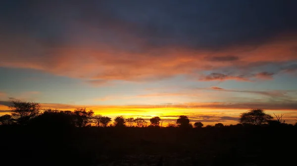 Захід Сонця Заповіднику Мормі Ботсвані — стокове фото