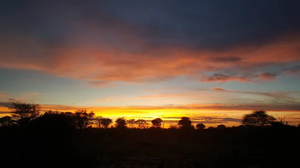 Pôr Sol Reserva Caça Moremi Botsuana — Fotografia de Stock